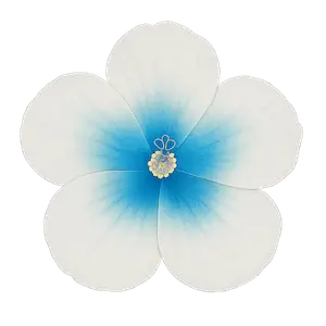 Summer color palette