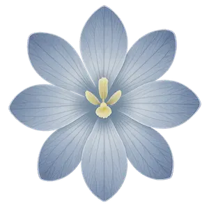 Winter color palette